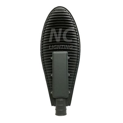 Den Led cao ap NC 100w 2