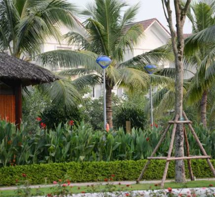 Đèn con mắt ứng dụng đèn trang trí sân vườn con mat