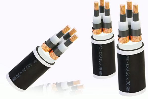 Dây cáp đồng loại 3 lõi