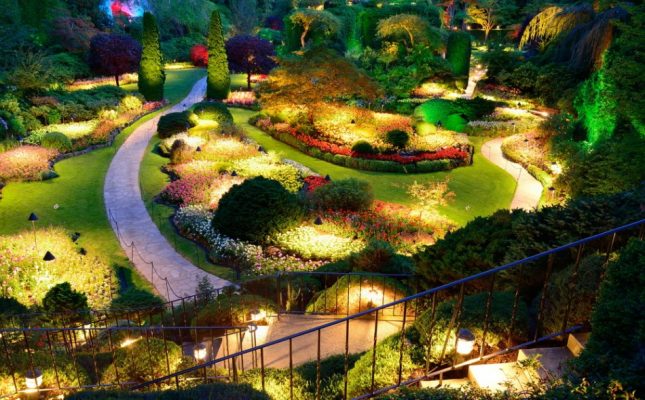 Đèn chiếu sáng giúp sân vườn đẹp lung linh về đêm