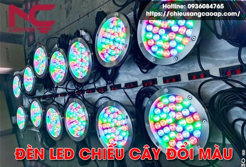Mãn nhãn cùng 5 mẫu đèn led chiếu cây đổi màu đèn led chiếu cây đổi màu NC Lighting