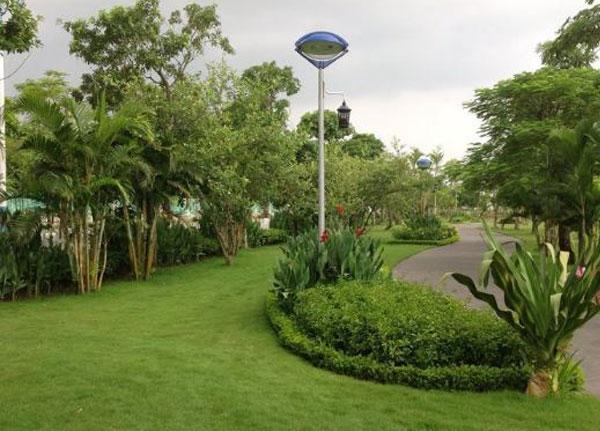 Hình ảnh thực tế mẫu trụ đèn sân vườn con mắt