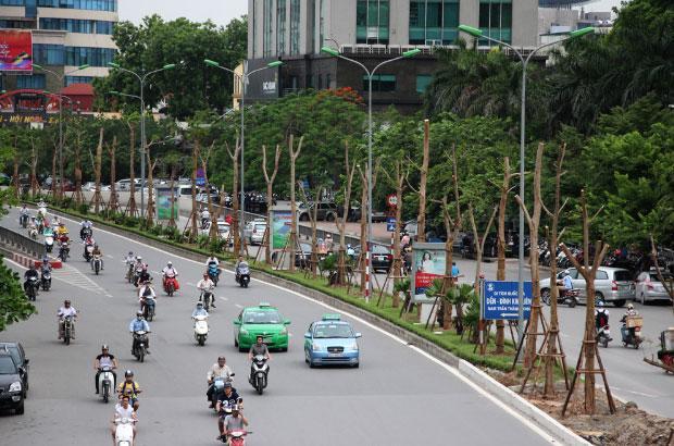 lắp cột đèn chiếu sáng trên dải phân cách