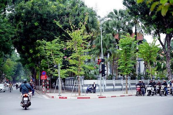 Lắp cột đèn đường phố 1 bên