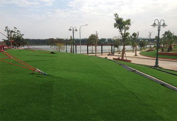Lắp đặt đèn sân vườn trên bãi cỏ công viên