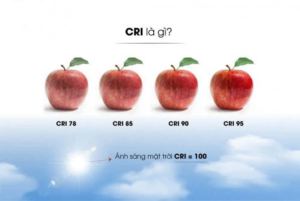 Chỉ số hoàn màu CRI là gì?