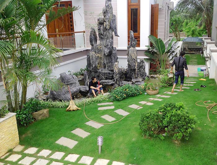 Trồng cây theo thảm