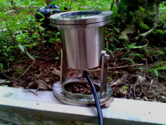 Hình ảnh thực tế đèn chiếu cây xám NCC