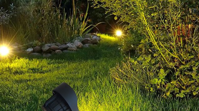 Hướng dẫn chi tiết cách trang trí đèn sân vườn tạo điểm nhấn Sử dụng đèn để chiếu vào cây cối